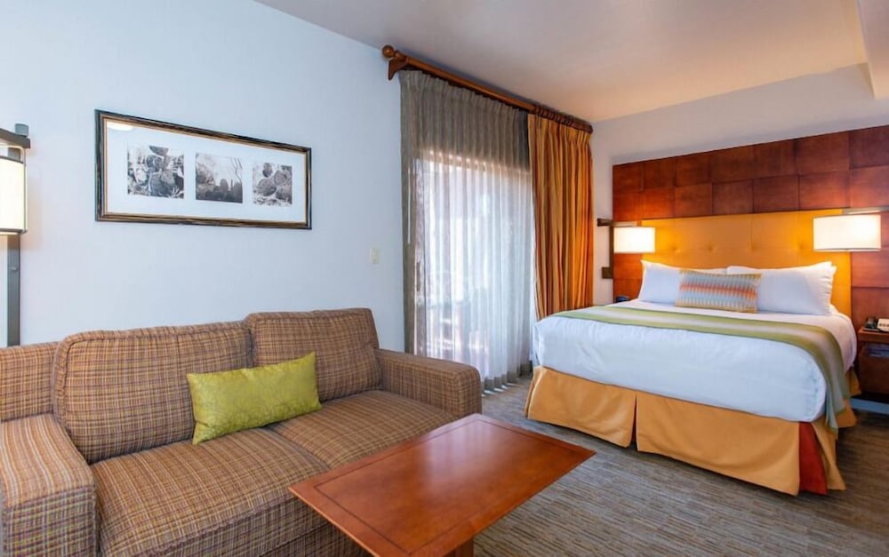 Studio, 1 Queen Bed with Sofa bed photo 2