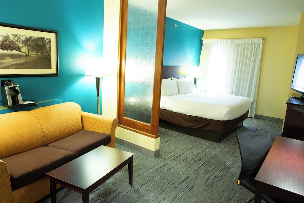 Suite, 1 King Bed - Photo 3