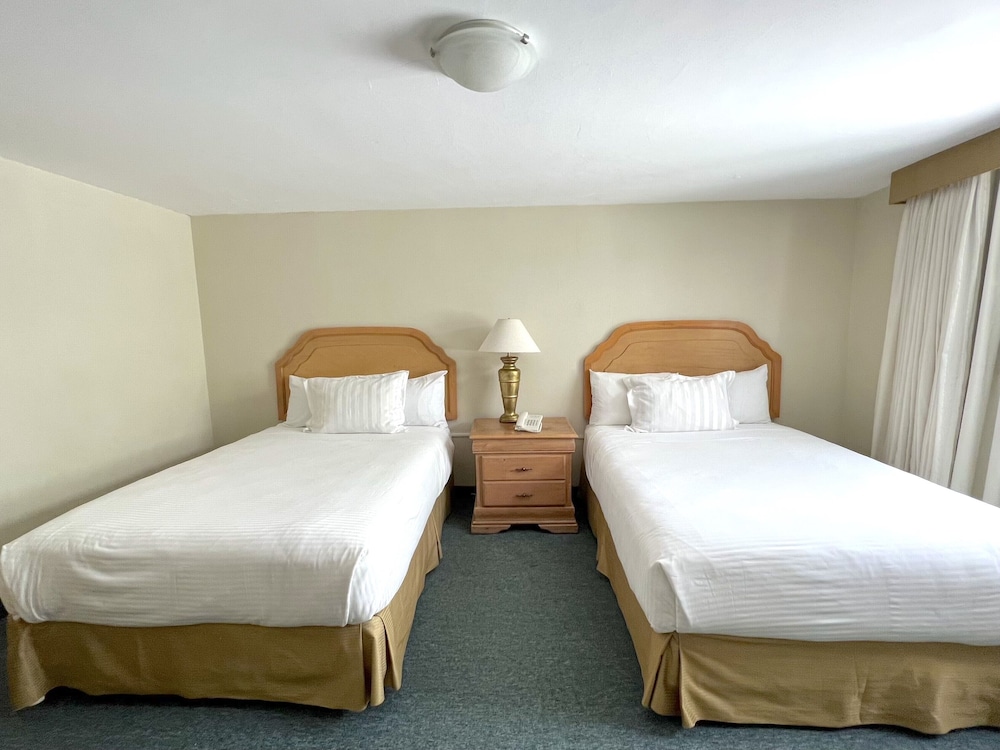 Standard Double Room, 2 Double Beds photo 1