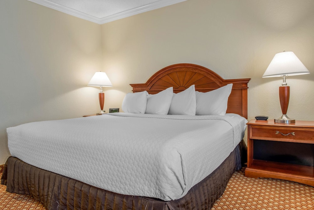 Suite, 1 King Bed with Sofa bed, Accessible, Non Smoking