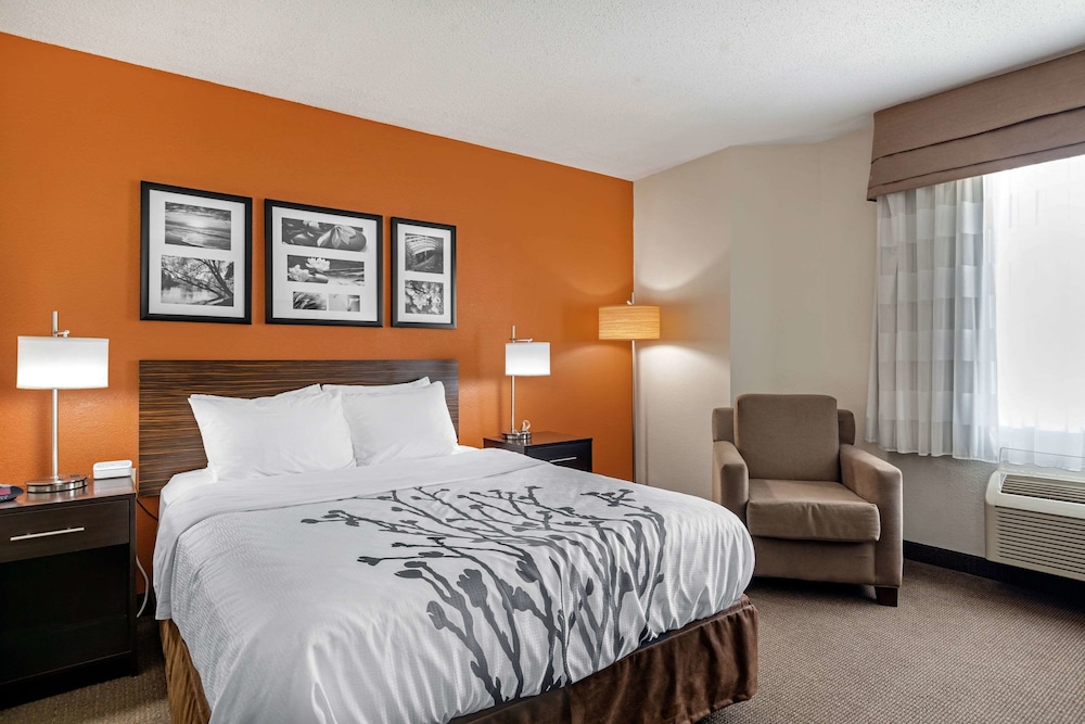 Standard Room, 1 Queen Bed, Non Smoking, Refrigerator & Microwave - Photo 1