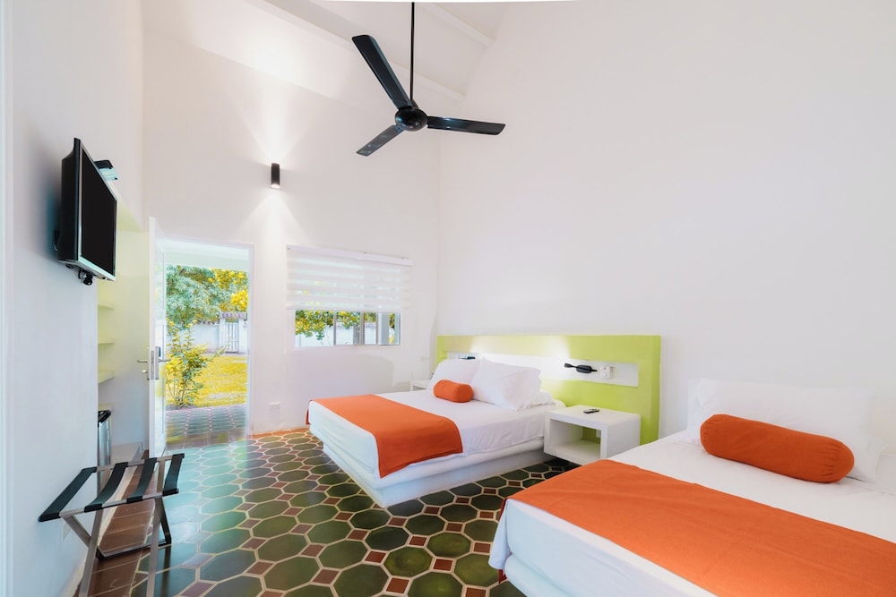Triple Room photo 1