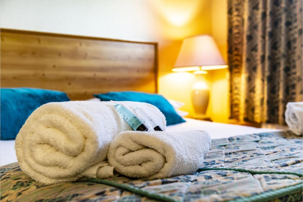 Deluxe Double Room, 1 Double Bed photo 2