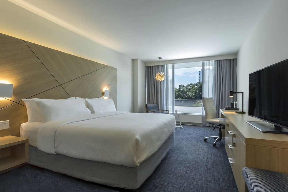 Superior Room, 1 King Bed (City and Park view)
