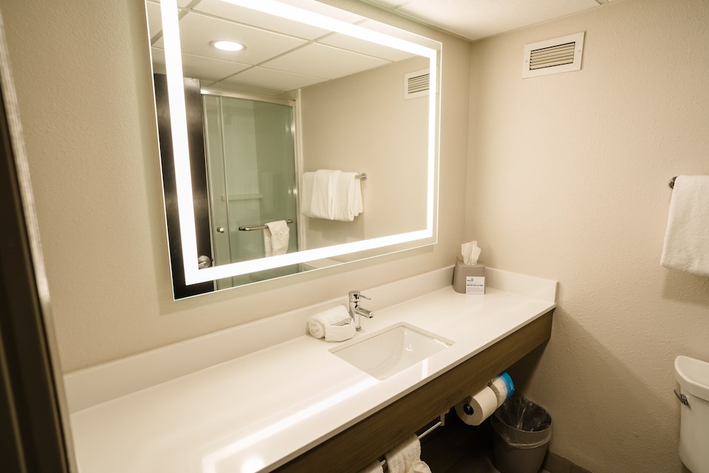 Suite, 1 King Bed - Photo 2