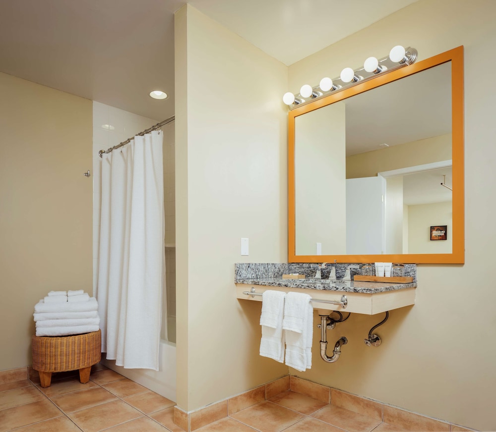 Basic Suite, 1 Bedroom (1 King Bed & 1 Sofa Bed) - Photo 5