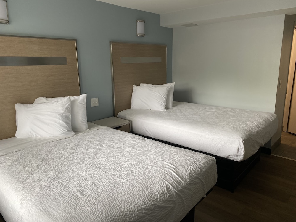 Double Room, Multiple Beds photo 2