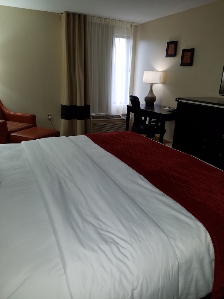 Standard Room, 1 King Bed, Non Smoking - Photo 5