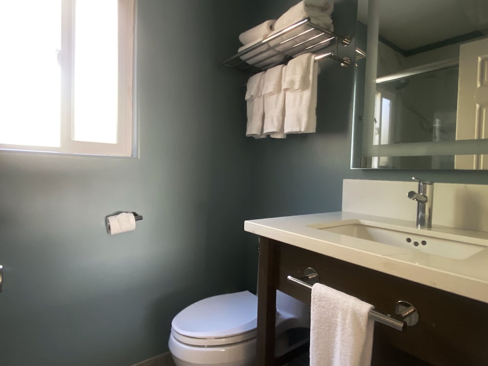 Single Room, Multiple Beds (Budget) photo 3