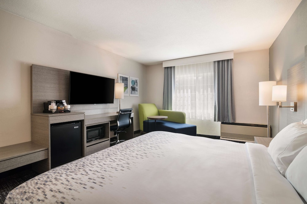Standard Room, 1 King Bed, Accessible, Non Smoking - Photo 4