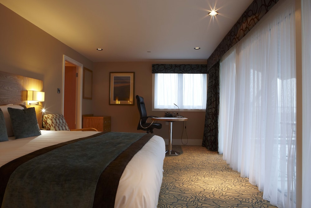 Suite, 1 King Bed with Sofa bed - Photo 5