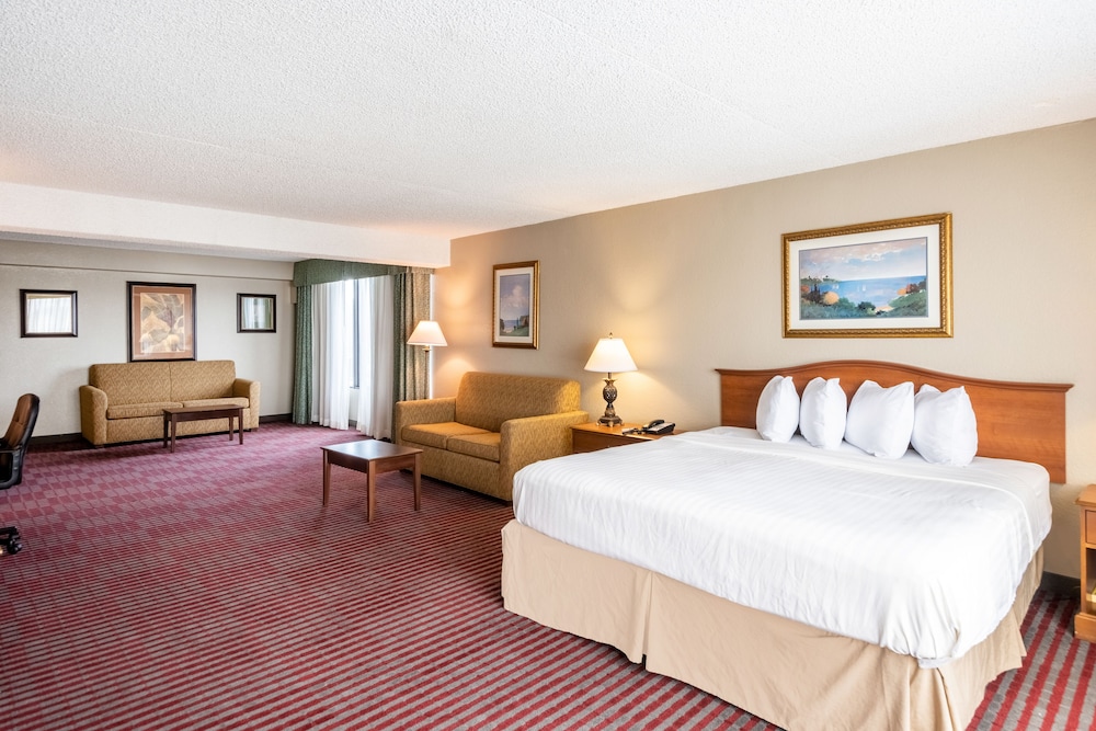 Suite, 1 King Bed, Non Smoking - Photo 1