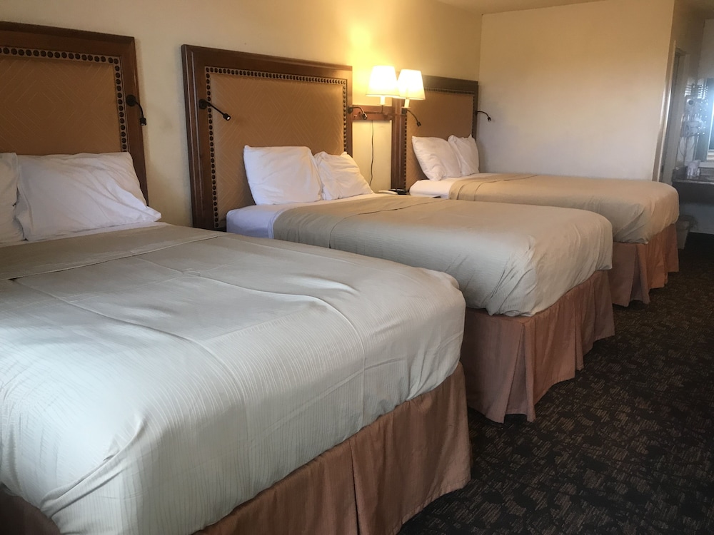 Room, Multiple Beds
