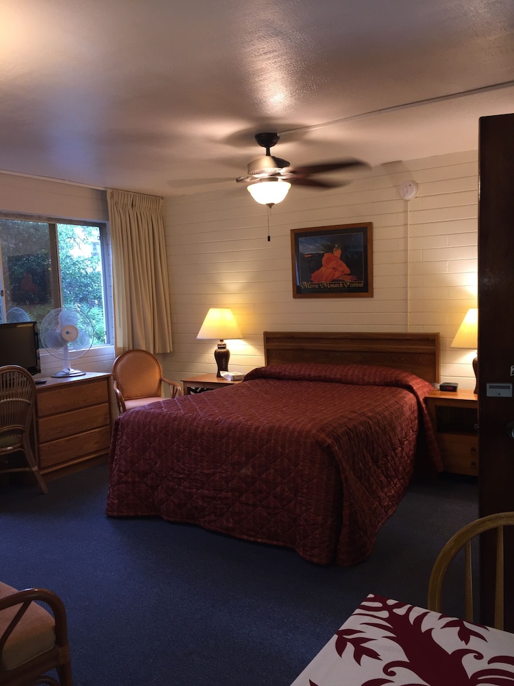 Superior Studio, 1 Queen Bed, Kitchen photo 1