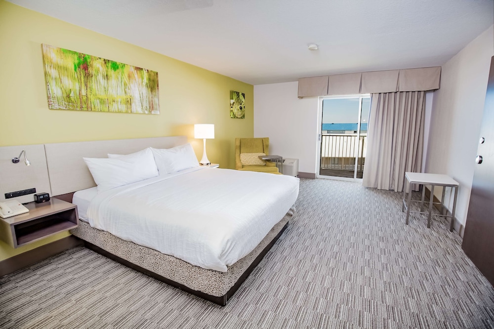 Suite, 1 King Bed