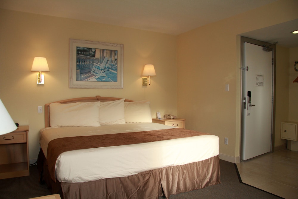 Standard Room, 1 King Bed, Non Smoking photo 1