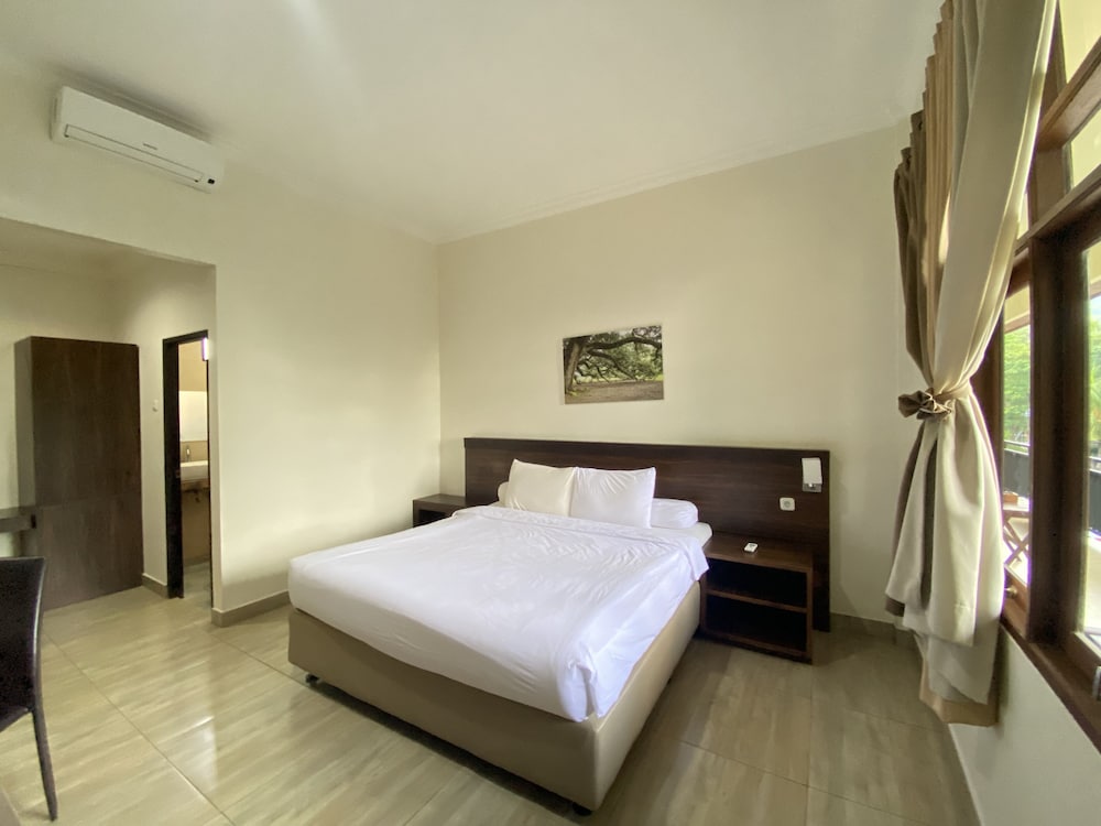 Superior Double or Twin Room, Mountain View photo 2