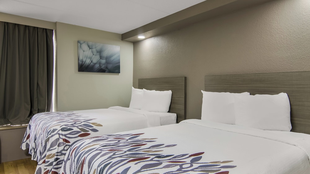 Standard Room, 2 Double Beds, Non Smoking (Hypoallergenic)