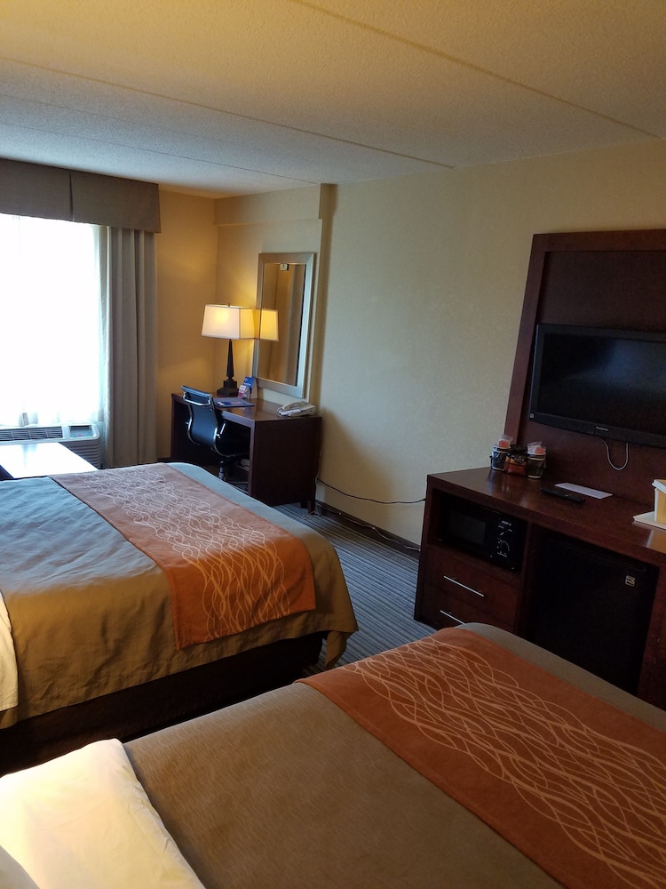 Standard Room, Multiple Beds, Non Smoking - Photo 4