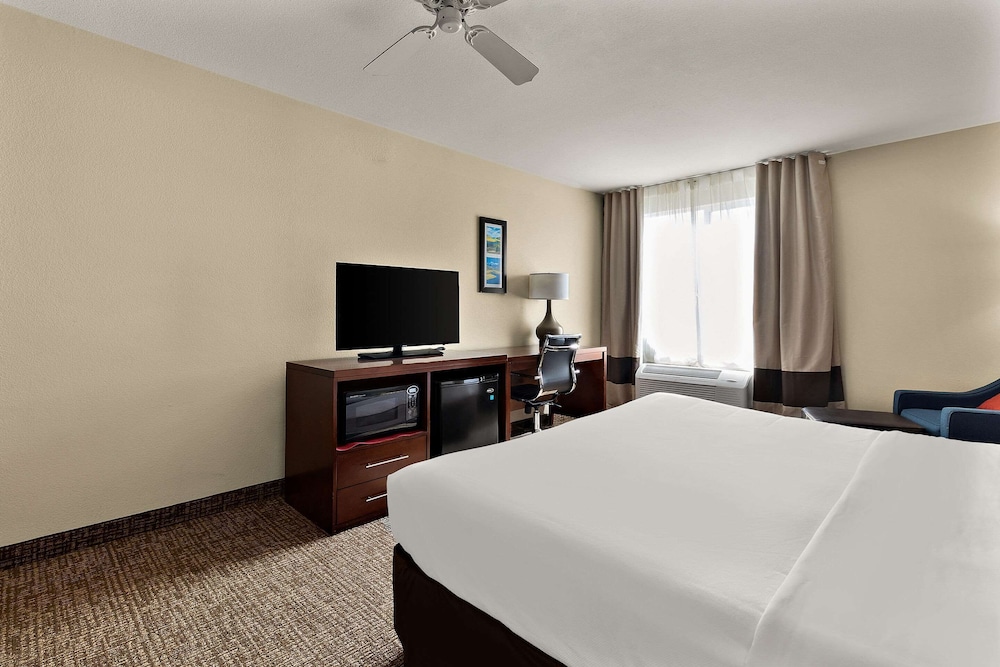 Room, 1 King Bed, Accessible, Non Smoking - Photo 3