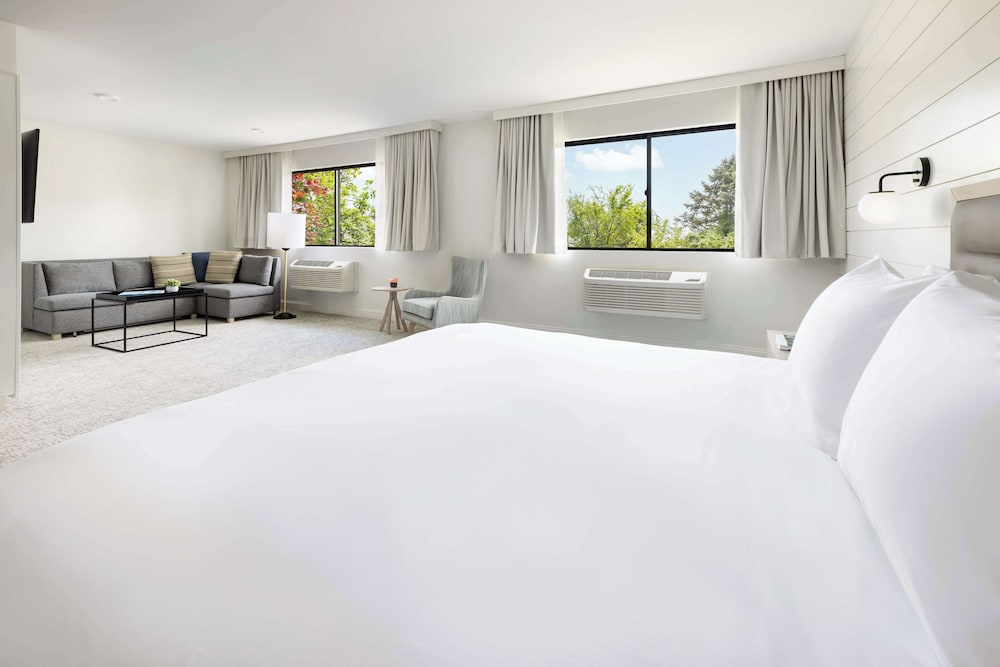 Room, 1 King Bed, Accessible, Bathtub photo 3