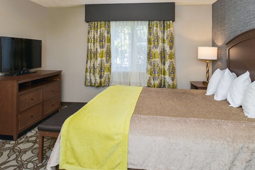 Family Suite, Multiple Beds, Non Smoking, Refrigerator & Microwave - Photo 3