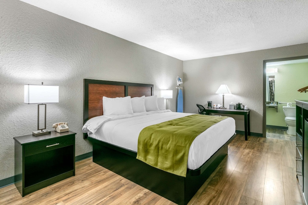 Room, 1 King Bed, Accessible, Non Smoking - Photo 4