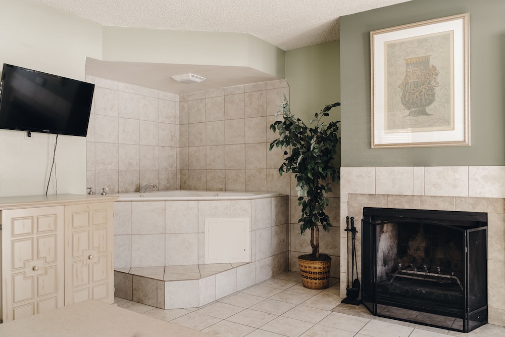 Jacuzzi Suite photo 1