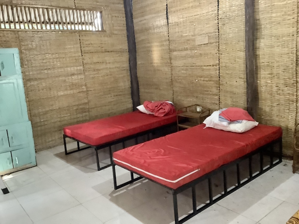 Basic Shared Dormitory photo 1