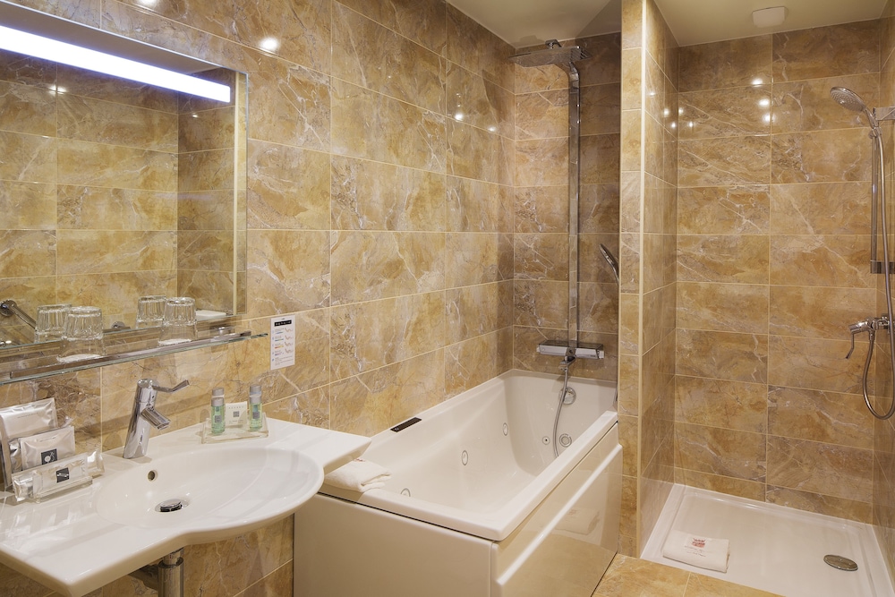 Deluxe Double or Twin Room photo 3