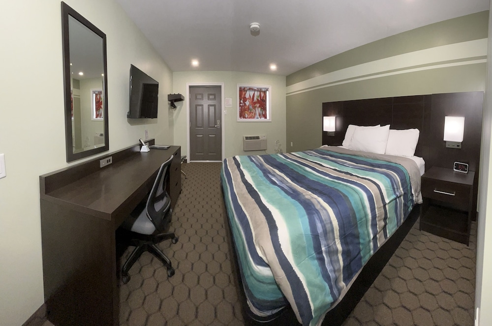 Room, 1 Queen Bed photo 1