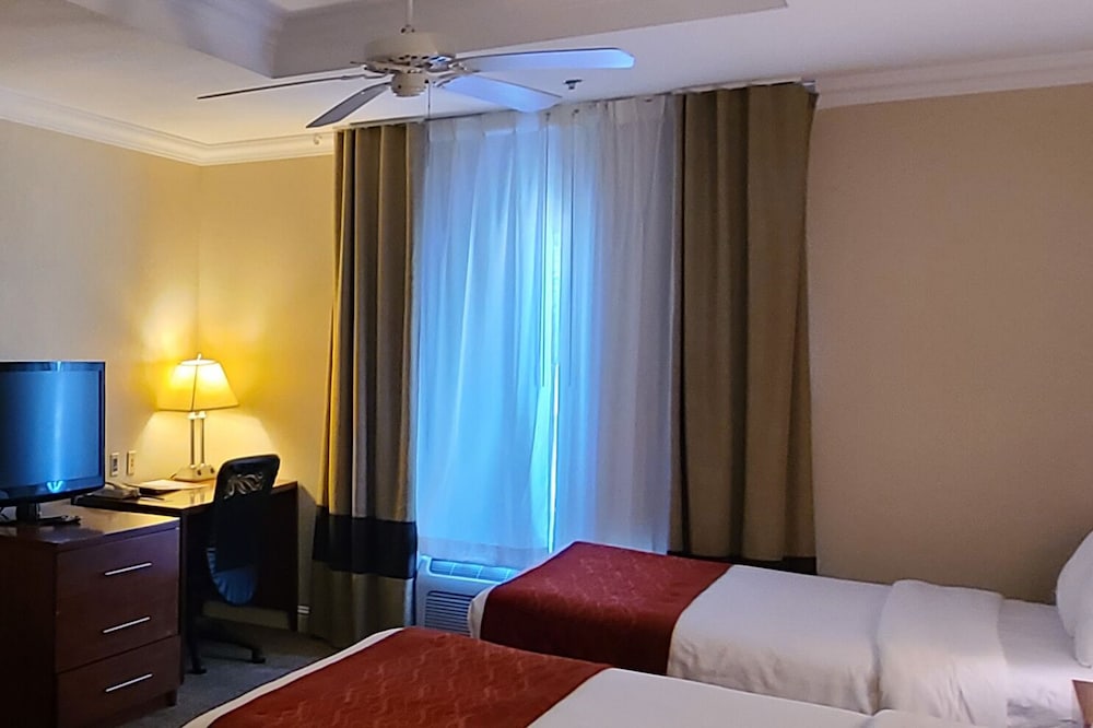 Deluxe Room, Multiple Beds photo 1