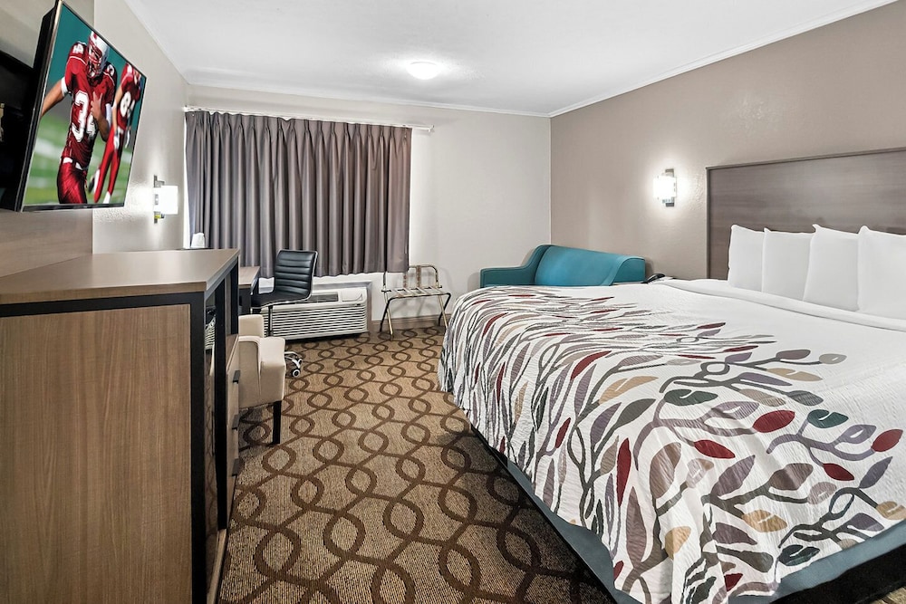 Suite, 1 King Bed with Sofa bed, Non Smoking - Photo 3