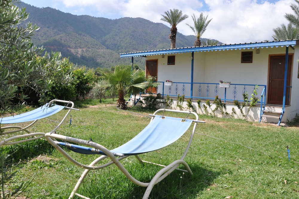 Standard Bungalow, Garden View