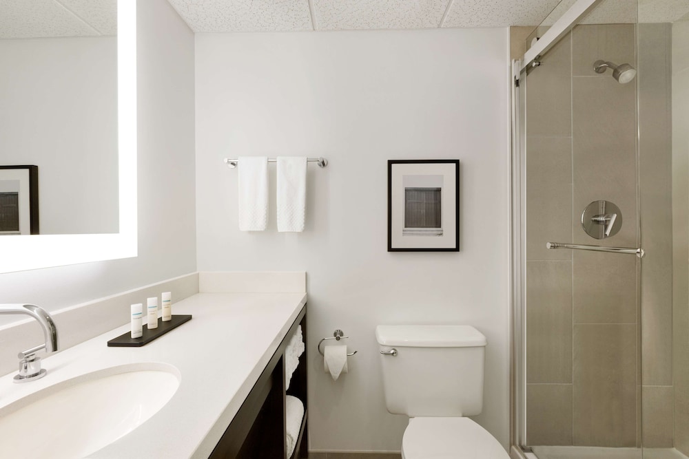 King Suite - Photo 7