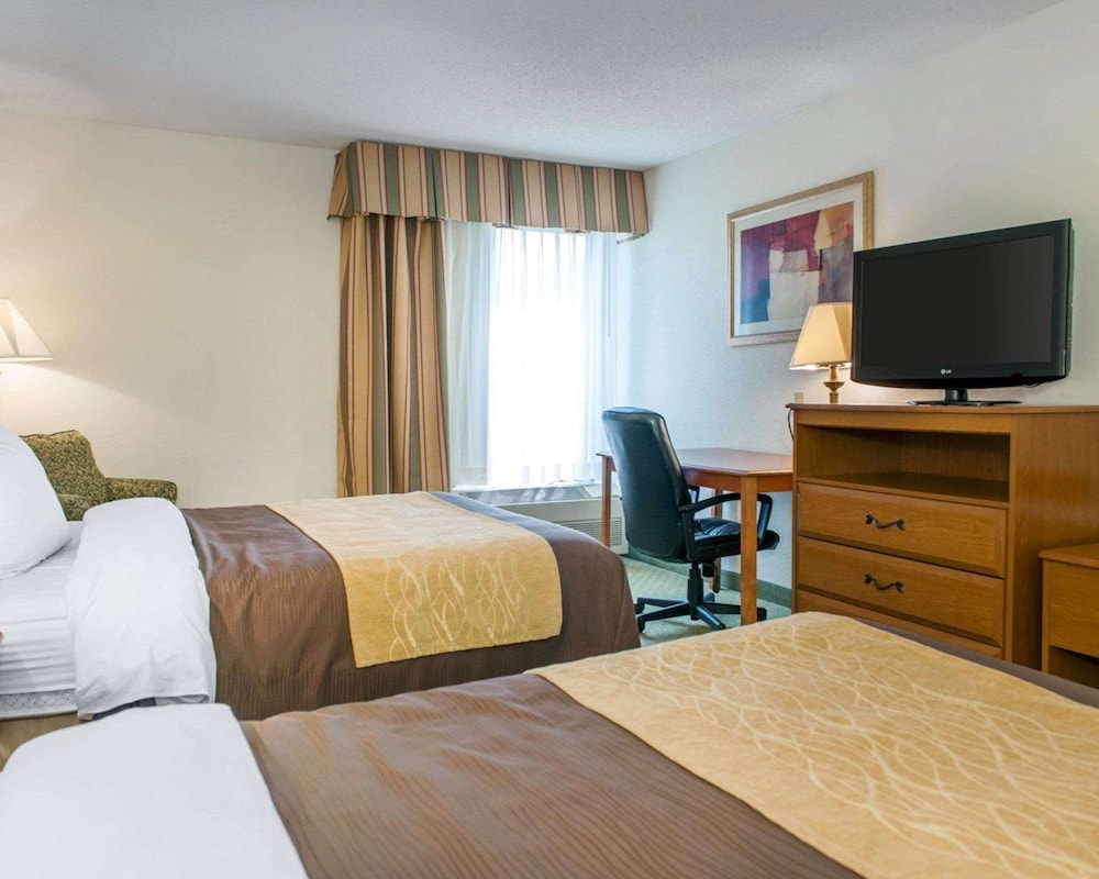 Standard Room, 2 Double Beds, Non Smoking - Photo 8