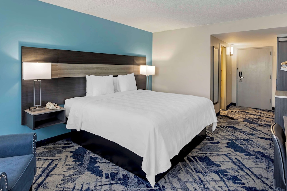 Standard Room,1 King Bed, Accessible, Bathtub, Refrigerator & Microwave - Photo 3