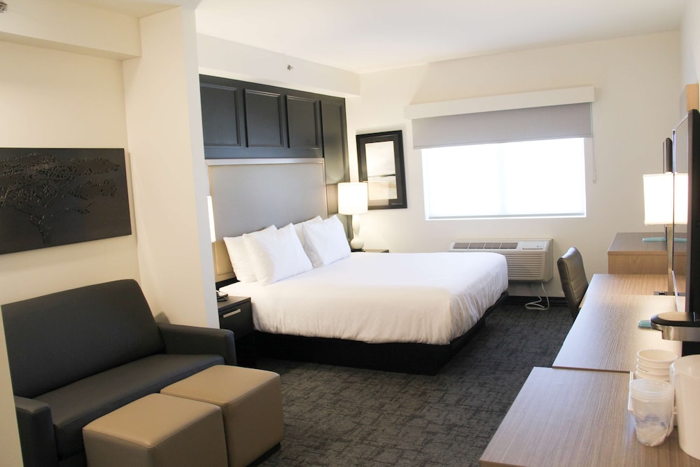 Suite, 1 King Bed, Accessible, Refrigerator & Microwave (with Sofabed) - Photo 1