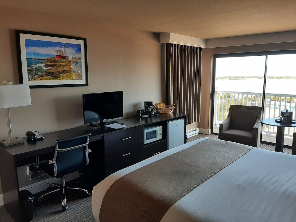 Standard Room, 1 King Bed, Bay View (East King - Non-Pet)