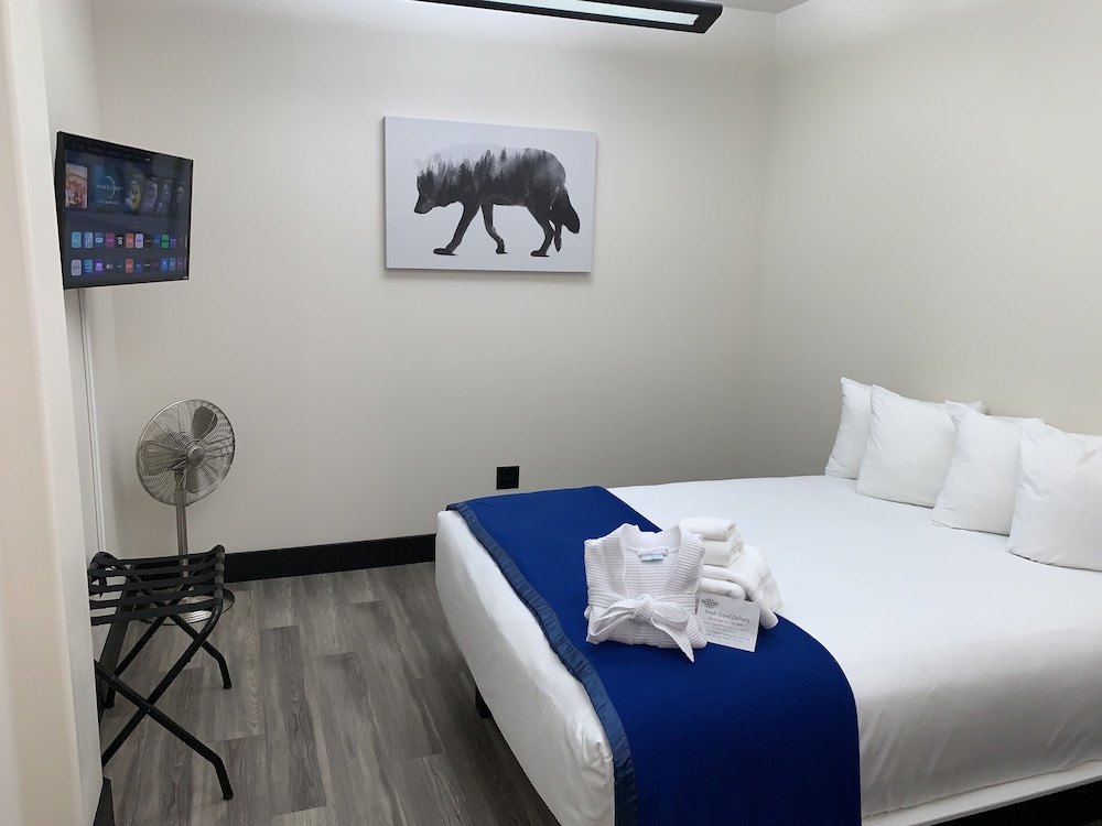 Standard Single Room, 1 Queen Bed, Accessible, Ground Floor with Shared Bath photo 3