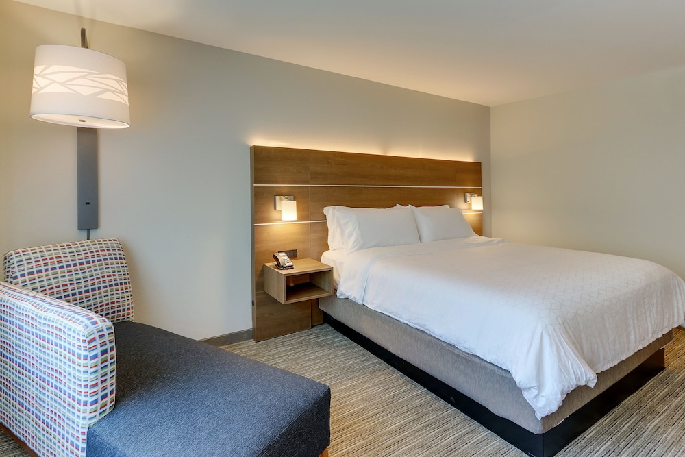 Room, 1 King Bed, Accessible (Roll-In Shower, Extra Floor Space) - Photo 9