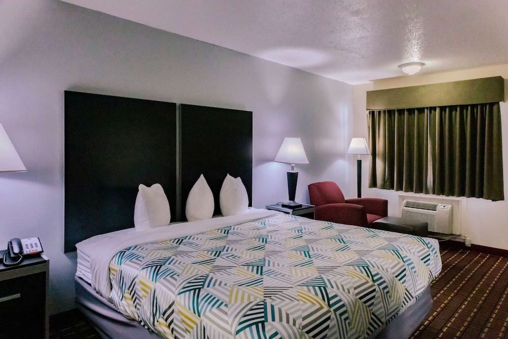 Standard Room, 1 King Bed, Non Smoking, Refrigerator & Microwave photo 3