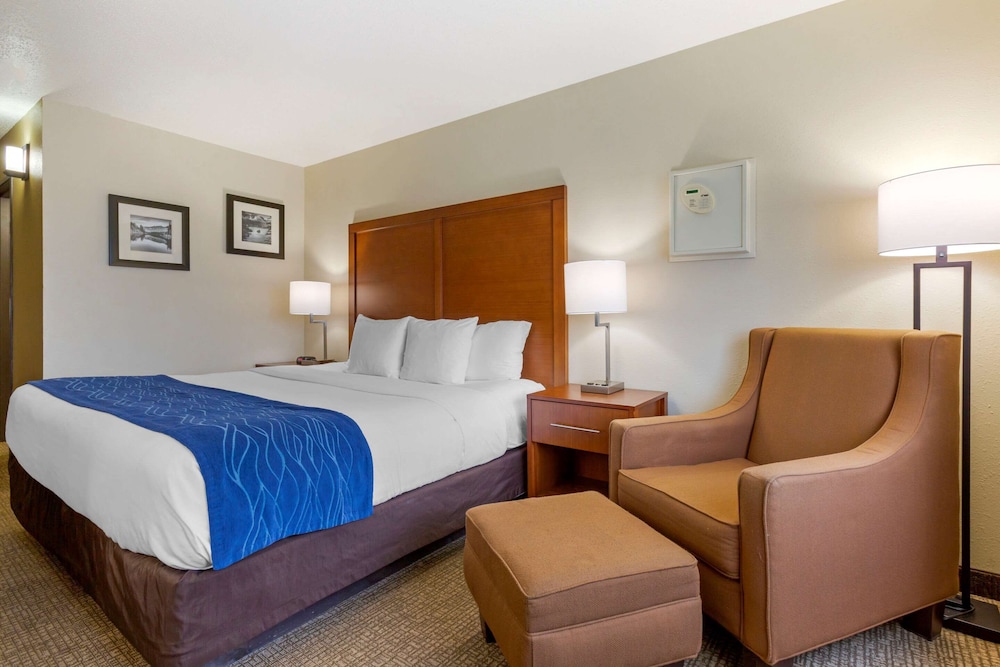 Standard Room, 1 King Bed, Non Smoking - Photo 4