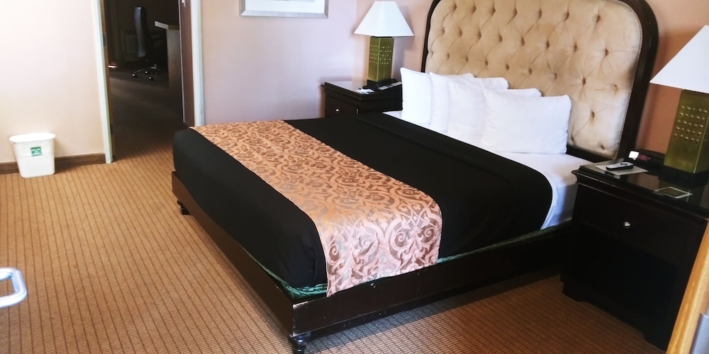 Executive Suite, 1 King Bed, Non Smoking photo 2