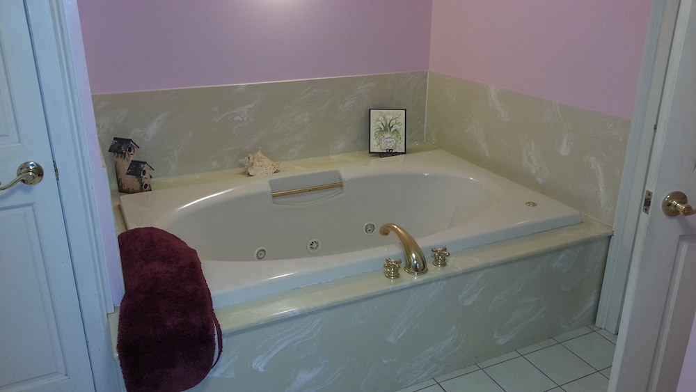 Traditional Studio Suite, Multiple Beds photo 3