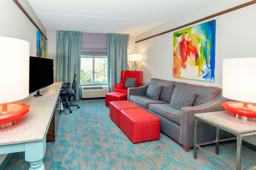 Suite, 1 King Bed, Accessible, Non Smoking (Roll In Shower) photo 2