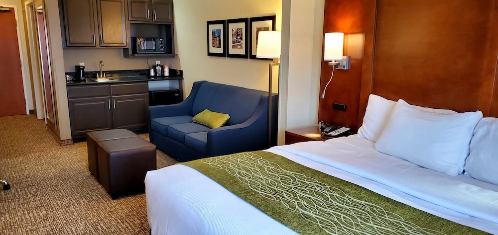 Suite, 1 King Bed with Sofa bed, Non Smoking (Wet Bar) - Photo 3