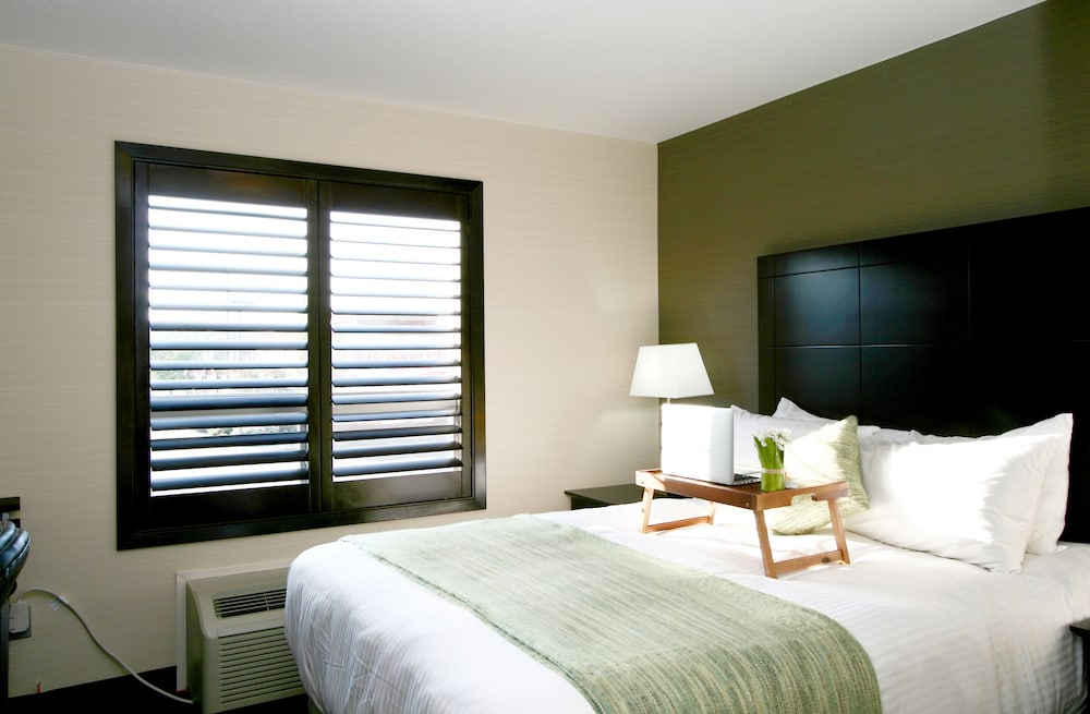 Executive Double Suite with Kitchenette photo 3