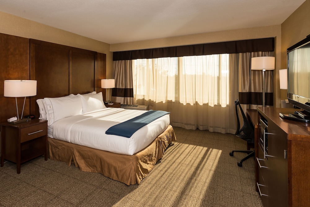 Standard Room, 1 King Bed, Accessible (Communications Accessible) - Photo 5