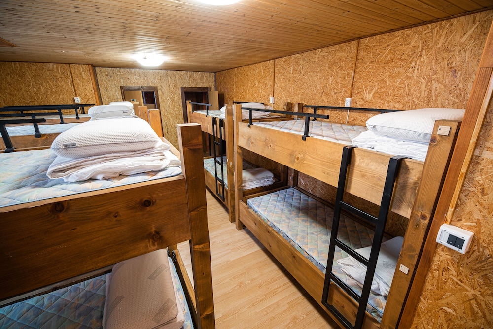 Shared Dormitory (Bed in dormitory room) photo 1